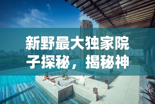 新野最大独家院子探秘，揭秘神秘府邸，一睹豪华风采