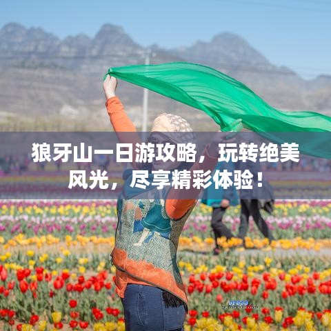 狼牙山一日游攻略，玩转绝美风光，尽享精彩体验！