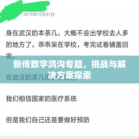 新传数字鸿沟专题，挑战与解决方案探索