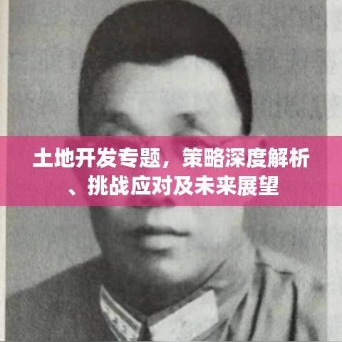 土地开发专题，策略深度解析、挑战应对及未来展望