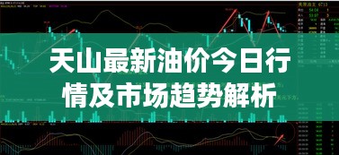 天山最新油价今日行情及市场趋势解析