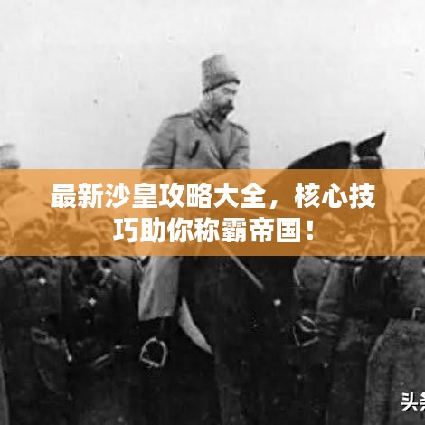 最新沙皇攻略大全，核心技巧助你称霸帝国！