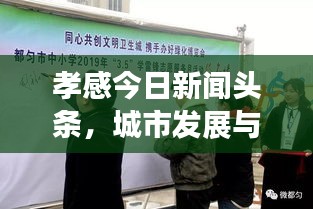 布衣蔬食