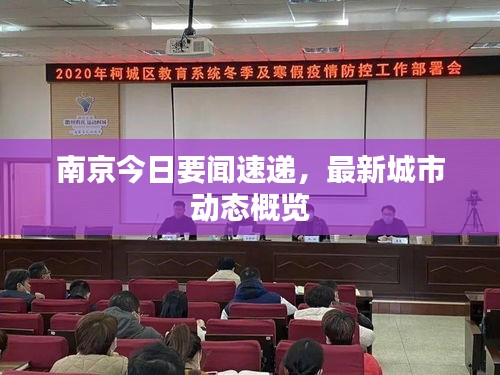 南京今日要闻速递，最新城市动态概览