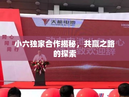 小六独家合作揭秘，共赢之路的探索