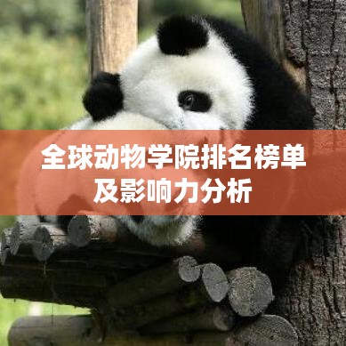 地老天荒