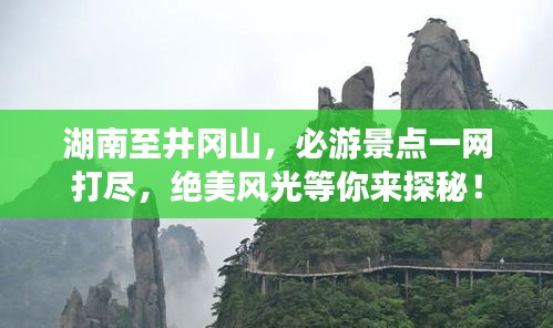 湖南至井冈山，必游景点一网打尽，绝美风光等你来探秘！