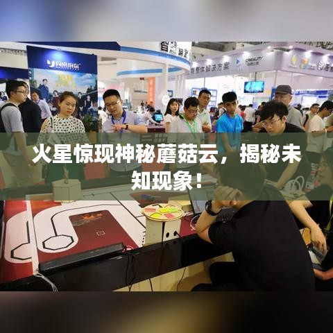 首鼠两端