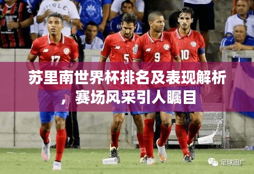 苏里南世界杯排名及表现解析，赛场风采引人瞩目