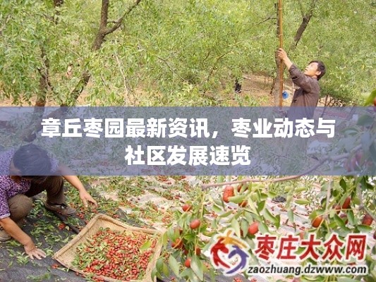 章丘枣园最新资讯，枣业动态与社区发展速览