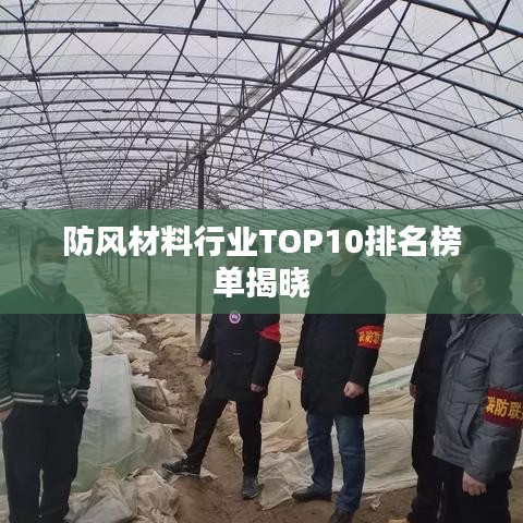 仪表堂堂