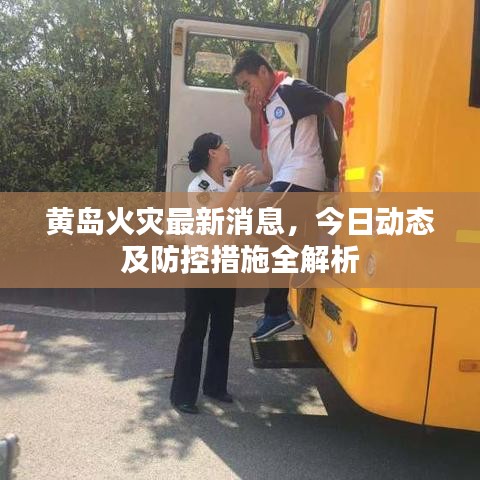 黄岛火灾最新消息，今日动态及防控措施全解析