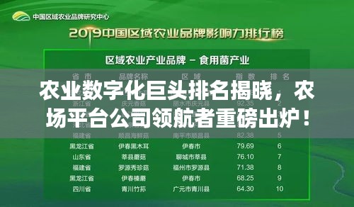 农业数字化巨头排名揭晓，农场平台公司领航者重磅出炉！