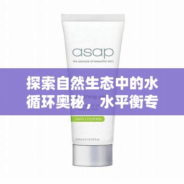 探索自然生态中的水循环奥秘，水平衡专题揭秘