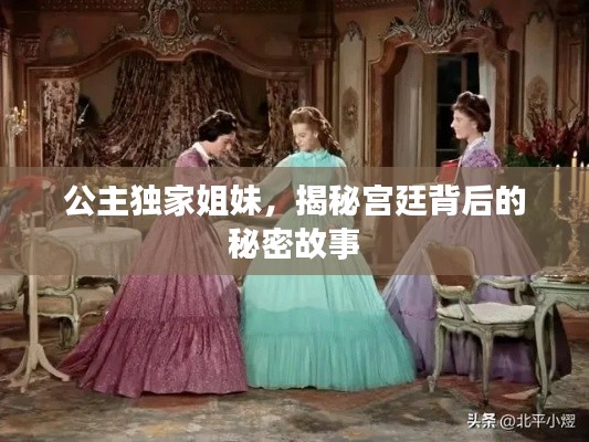 公主独家姐妹，揭秘宫廷背后的秘密故事