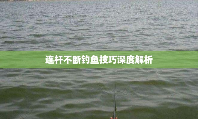 连杆不断钓鱼技巧深度解析