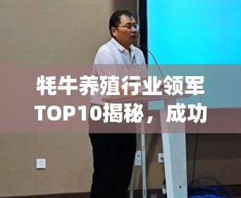高不成低不就