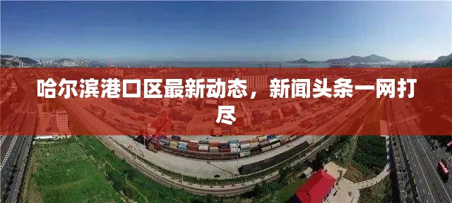 哈尔滨港口区最新动态，新闻头条一网打尽