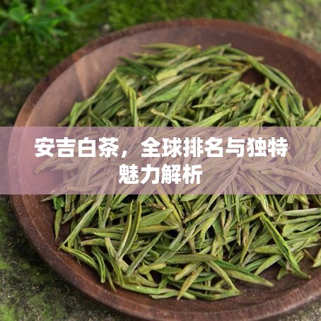 安吉白茶，全球排名与独特魅力解析