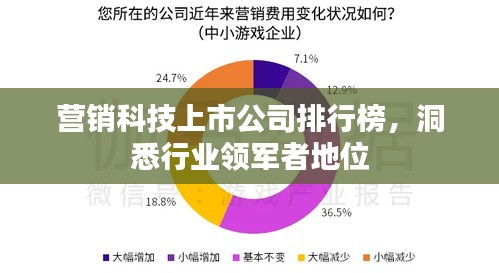 营销科技上市公司排行榜，洞悉行业领军者地位