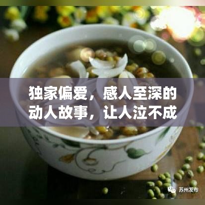 独家偏爱，感人至深的动人故事，让人泣不成声