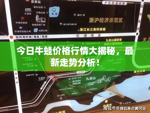 今日牛蛙价格行情大揭秘，最新走势分析！