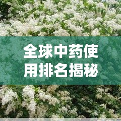 全球中药使用排名揭秘，其在医药领域的关键地位与重要性分析
