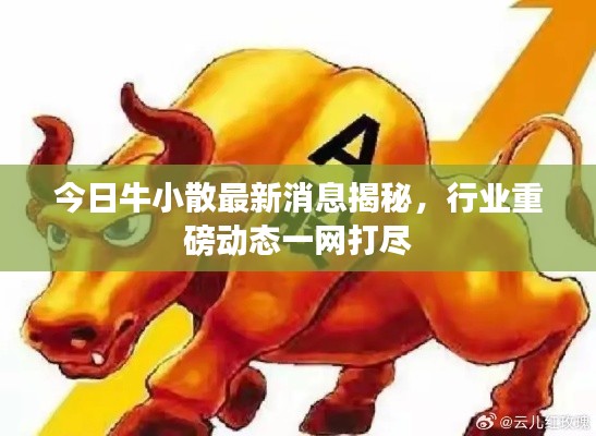 今日牛小散最新消息揭秘，行业重磅动态一网打尽
