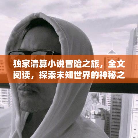 独家清算小说冒险之旅，全文阅读，探索未知世界的神秘之门