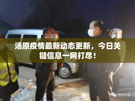 汤原疫情最新动态更新，今日关键信息一网打尽！