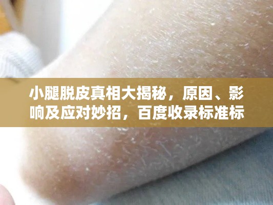 小腿脱皮真相大揭秘，原因、影响及应对妙招，百度收录标准标题！