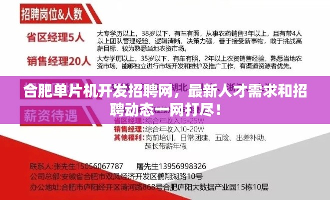 合肥单片机开发招聘网，最新人才需求和招聘动态一网打尽！
