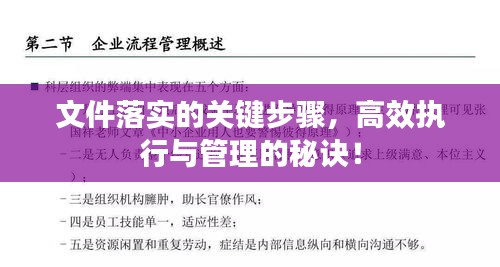 文件落实的关键步骤，高效执行与管理的秘诀！
