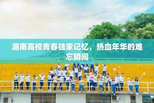 湖南高校青春独家记忆，热血年华的难忘瞬间