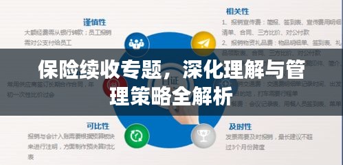 保险续收专题，深化理解与管理策略全解析
