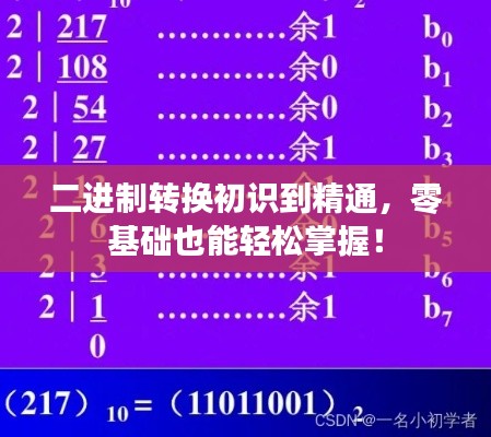 二进制转换初识到精通，零基础也能轻松掌握！