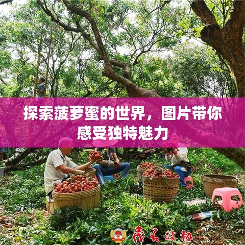 探索菠萝蜜的世界，图片带你感受独特魅力