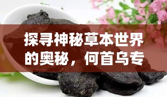惊弓之鸟