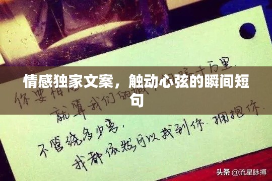 情感独家文案，触动心弦的瞬间短句