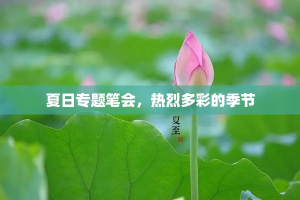 夏日专题笔会，热烈多彩的季节