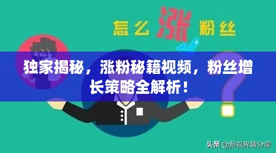 龙飞凤舞