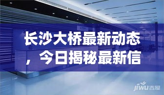 长沙大桥最新动态，今日揭秘最新信息
