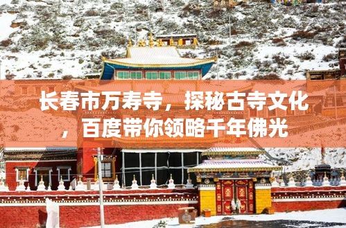 张弓拔弩