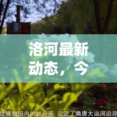 洛河最新动态，今日更新消息速递