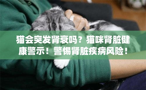 猫会突发肾衰吗？猫咪肾脏健康警示！警惕肾脏疾病风险！