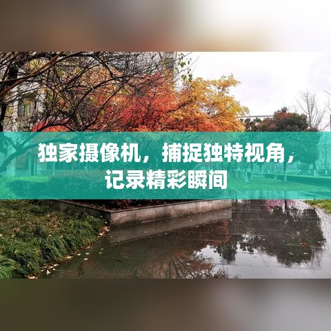 独家摄像机，捕捉独特视角，记录精彩瞬间