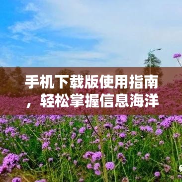 手机下载版使用指南，轻松掌握信息海洋，百度搜索带你飞