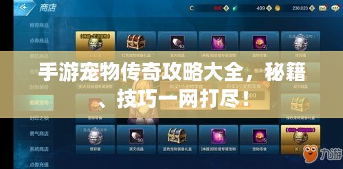 手游宠物传奇攻略大全，秘籍、技巧一网打尽！