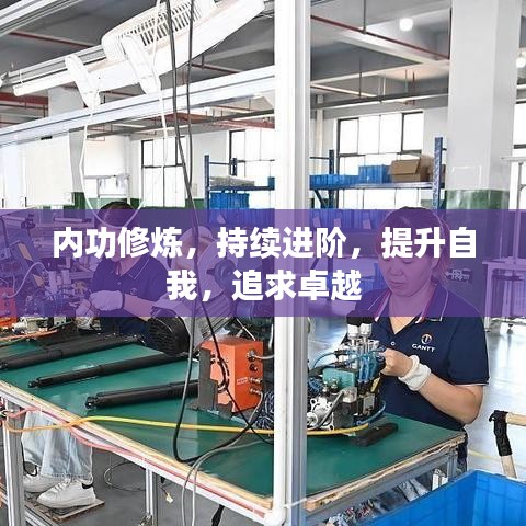 内功修炼，持续进阶，提升自我，追求卓越