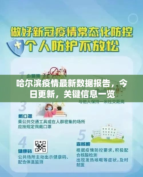 哈尔滨疫情最新数据报告，今日更新，关键信息一览